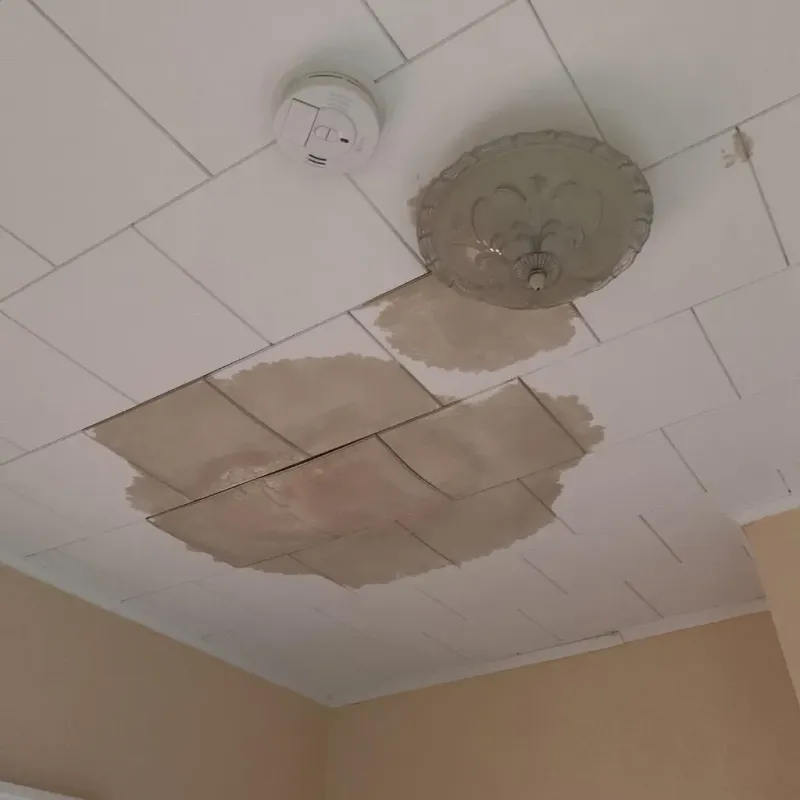 Ceiling Water Damage Repair in Ellis, KS