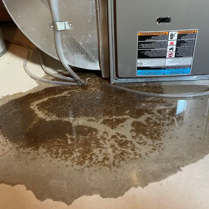Pipe Burst and Leak Restoration in Ellis, KS