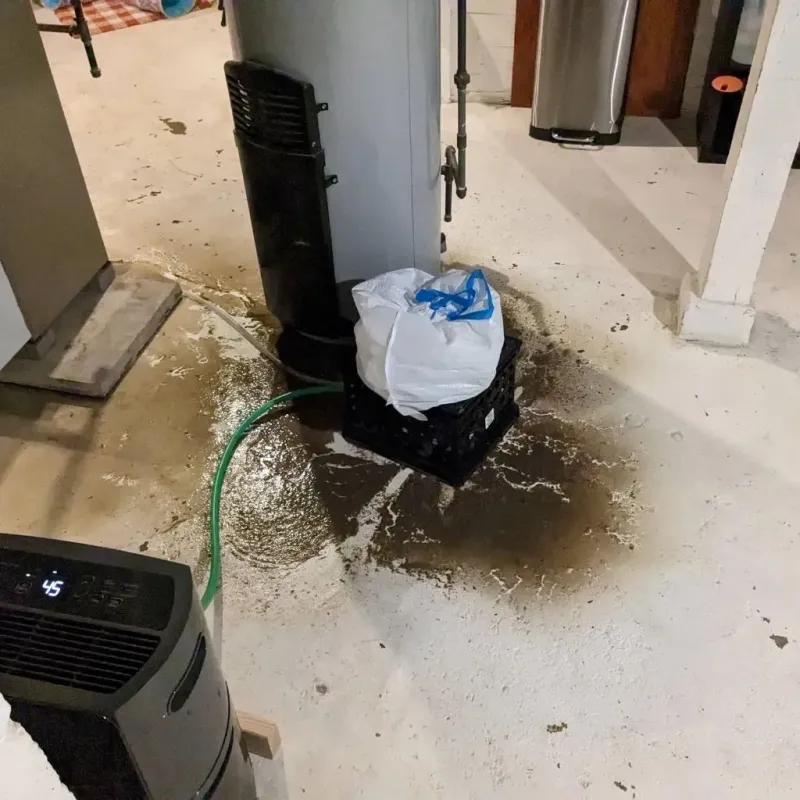 Sewage Backup Cleanup Service in Ellis, KS